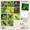 Plato; Hummingbirds | 2027 7 x 14 Inch (Hanging) Monthly Mini Wall Calendar | Foil Stamped Cover; Category:Wall Calendars; Image:3